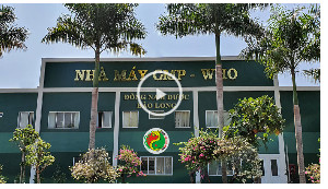lĩnh vực hoạt động